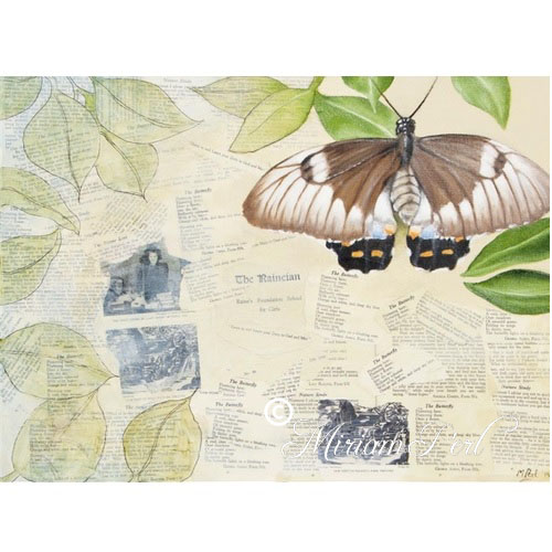 mg-escape-thebutterfly v2